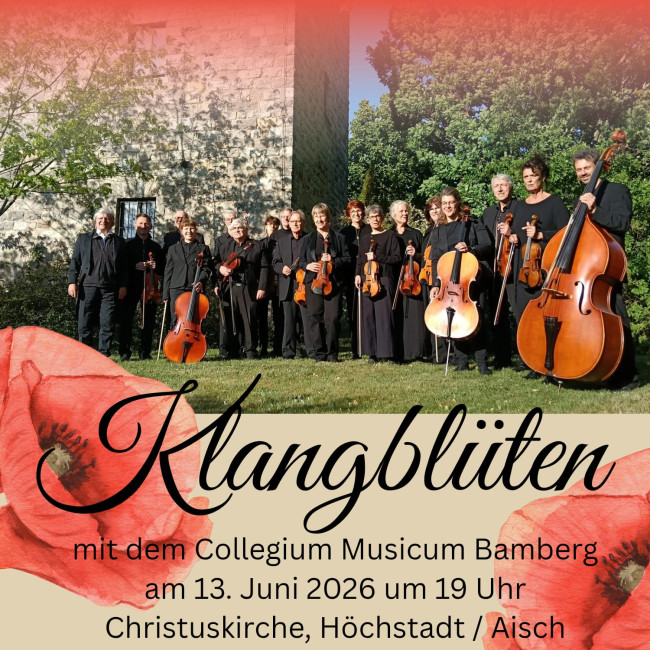 Collegium musicum Bamberg